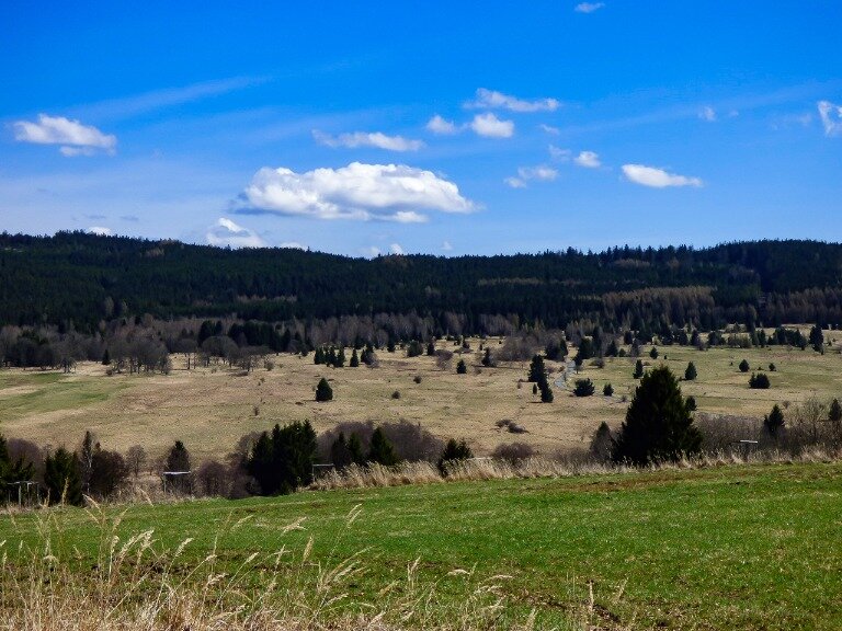 Kurz přežití Šumava