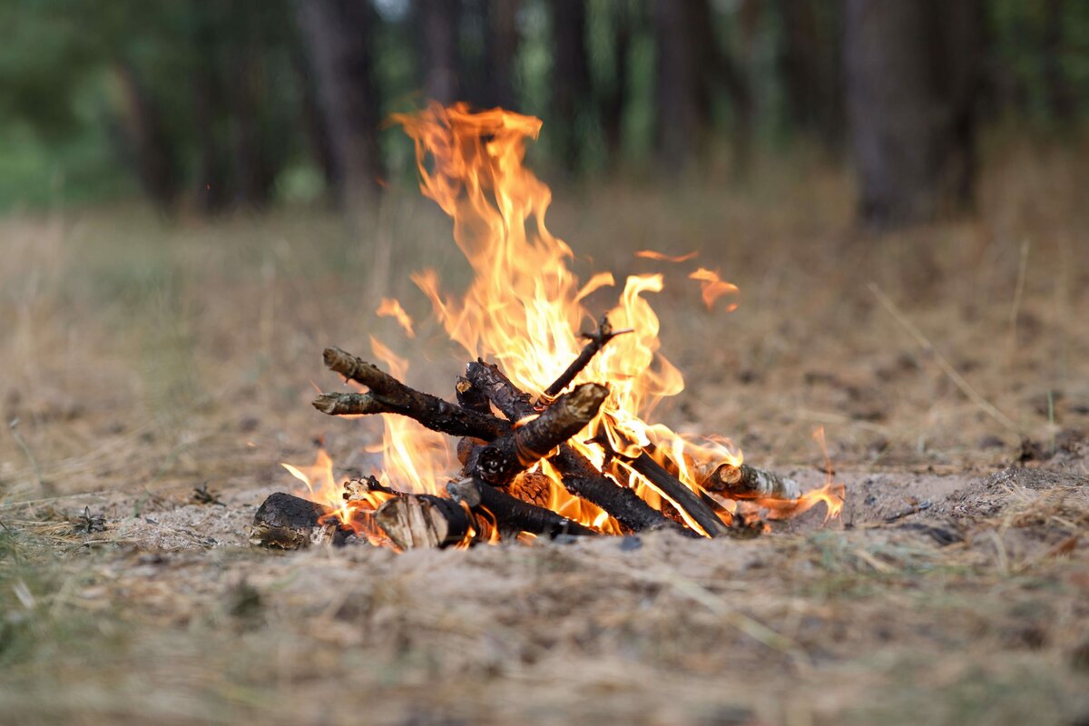 Kurz přežití Šumava